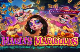 Maria's Marigolds
